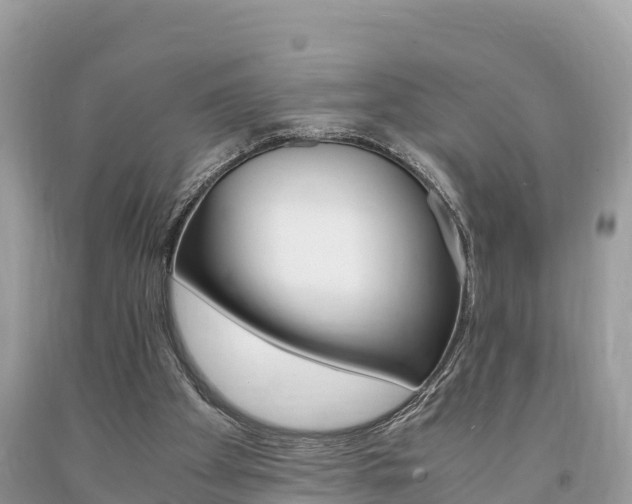 X0000094180105200710260941