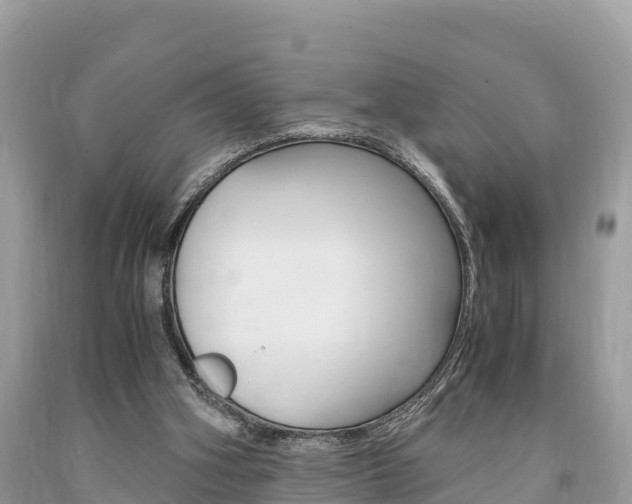 X0000094180106200710260941