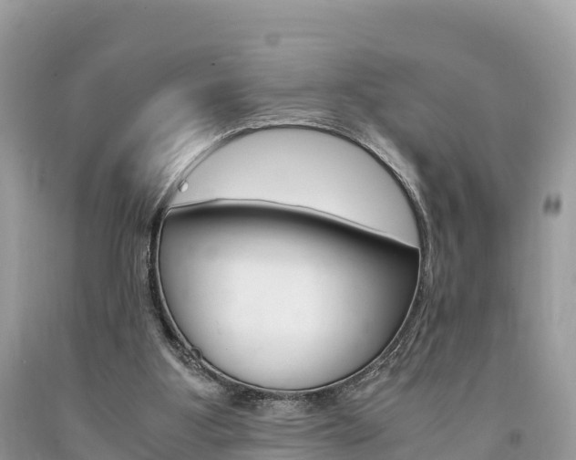 X0000094180107200710260941