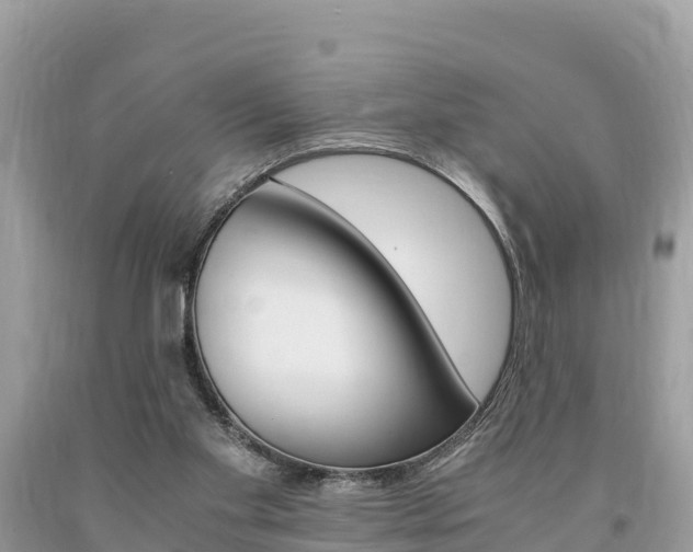 X0000094180109200710260941
