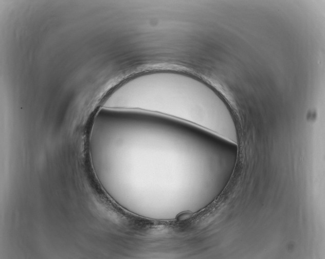 X0000094180111200710260941