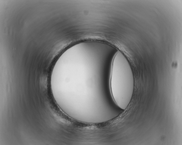 X0000094180112200710260941