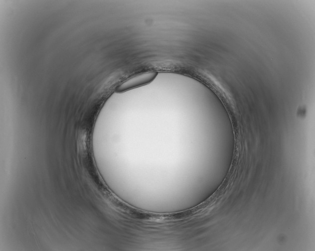 X0000094180117200710260941