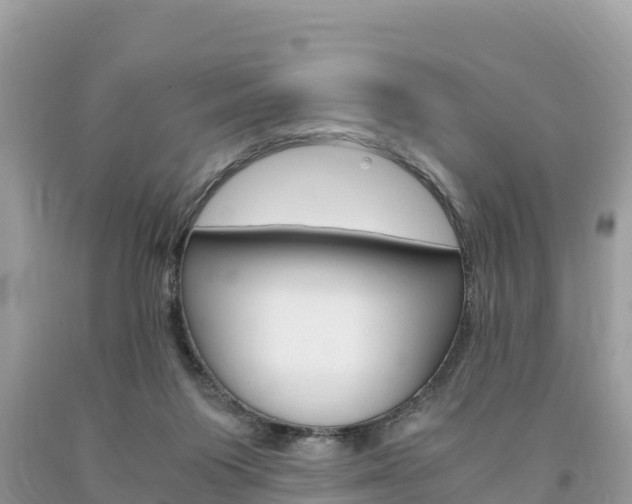 X0000094180119200710260941