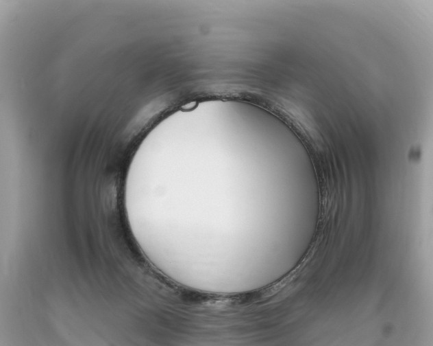 X0000094180120200710260941