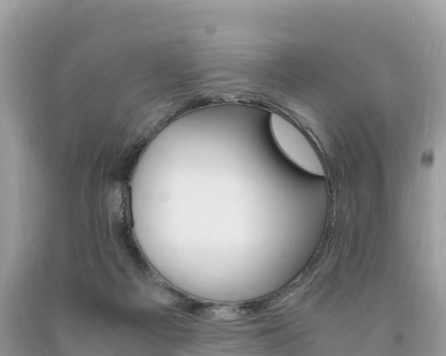 X0000094180121200710260941