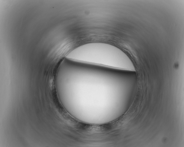 X0000094180123200710260940