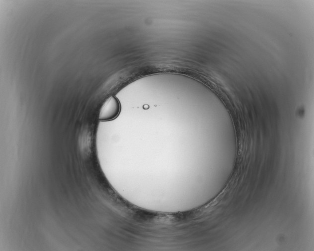 X0000094180124200710260940