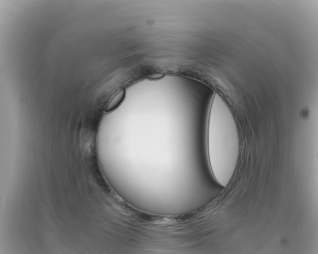 X0000094180125200710260940