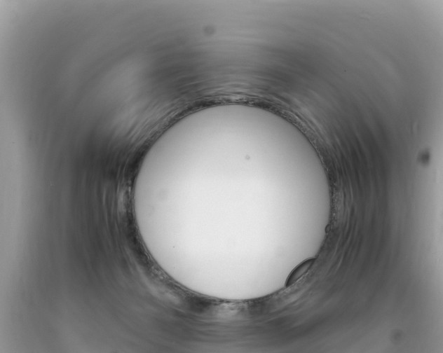 X0000094180126200710260940