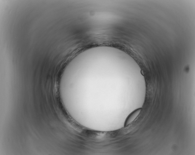 X0000094180130200710260940