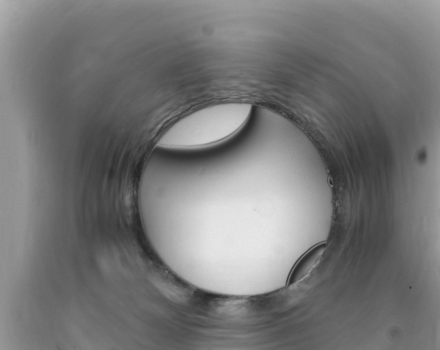 X0000094180132200710260940