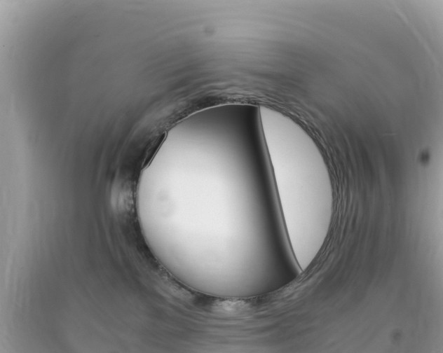 X0000094180137200710260940