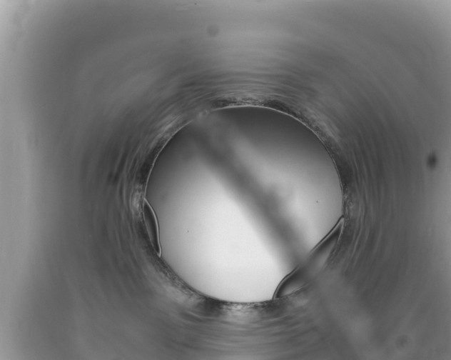 X0000094180141200710260940
