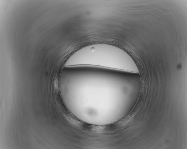X0000094180143200710260940