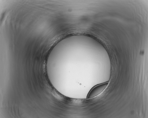 X0000094180144200710260940