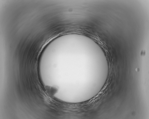X0000094180146200710260940