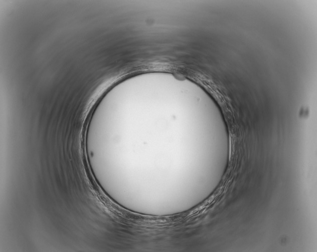 X0000094180147200710260940