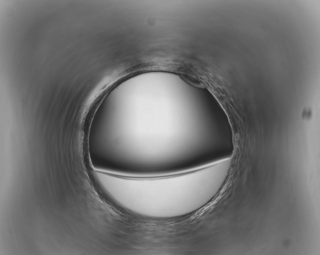 X0000094180150200710260940