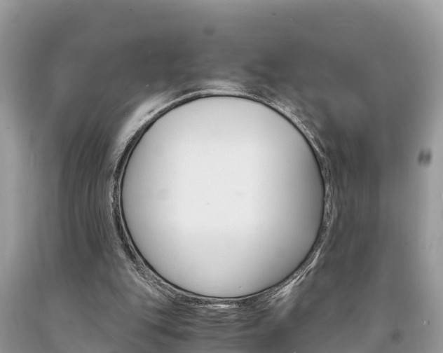 X0000094180151200710260940