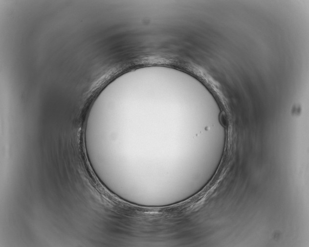 X0000094180153200710260940