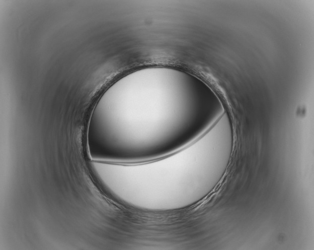 X0000094180154200710260940