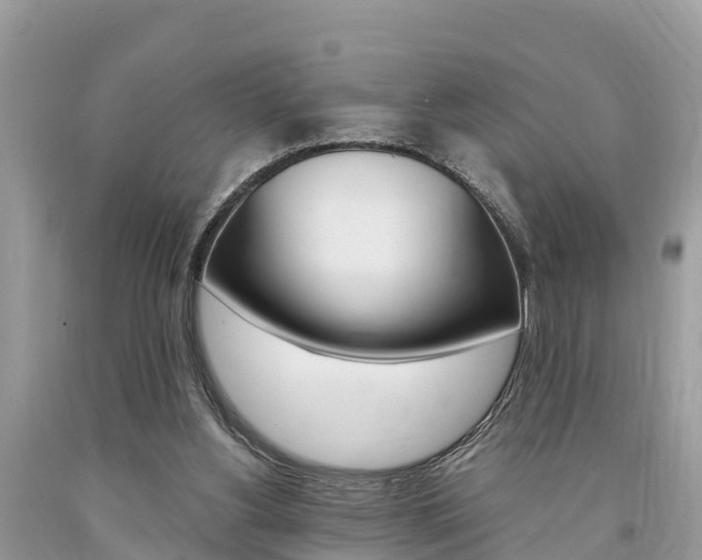 X0000094180156200710260940