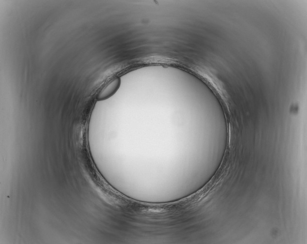 X0000094180157200710260940