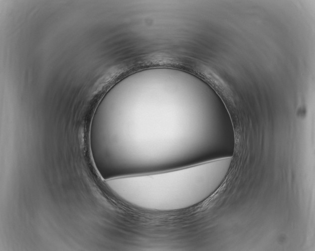 X0000094180158200710260940