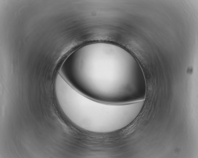 X0000094180160200710260940