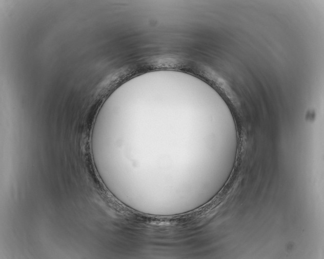 X0000094180161200710260940