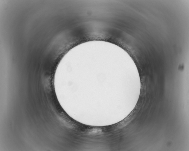 X0000094180162200710260940