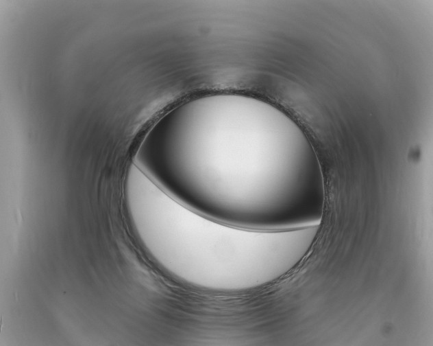 X0000094180164200710260940
