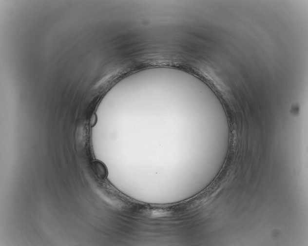 X0000094180165200710260940