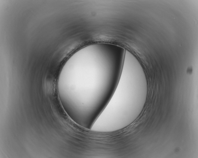 X0000094180168200710260940