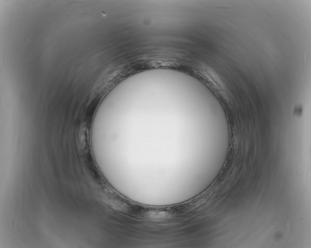 X0000094180169200710260940