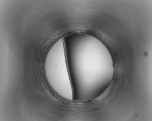 X0000094180170200710260940