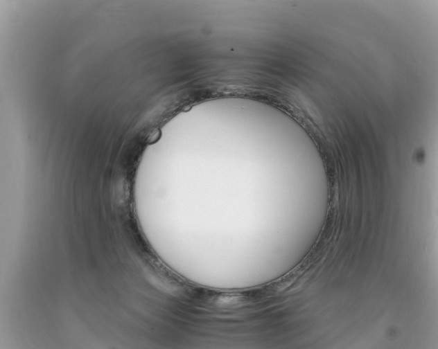 X0000094180173200710260940
