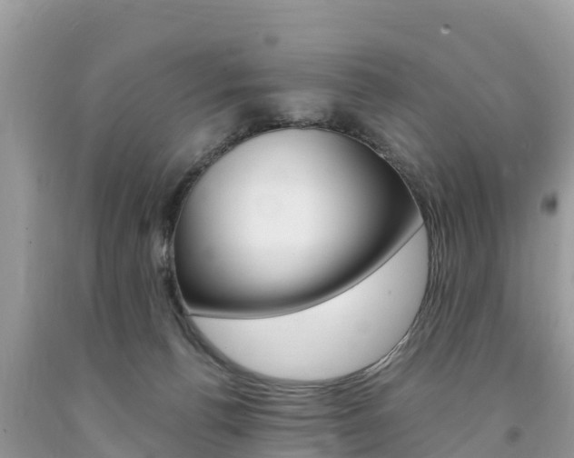 X0000094180176200710260940