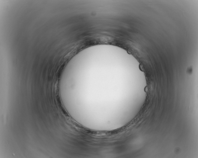X0000094180177200710260940