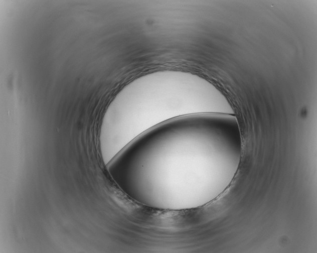 X0000094180186200710260940