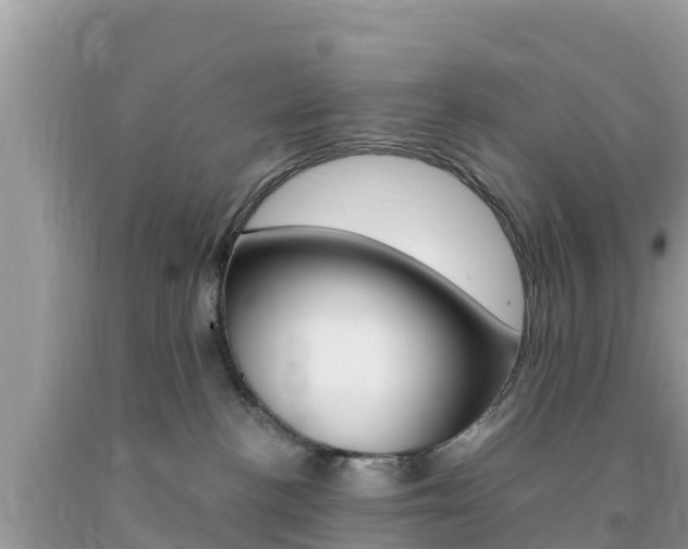 X0000094180188200710260940
