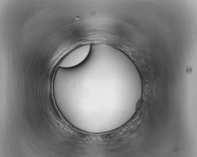 X0000094180194200710260940