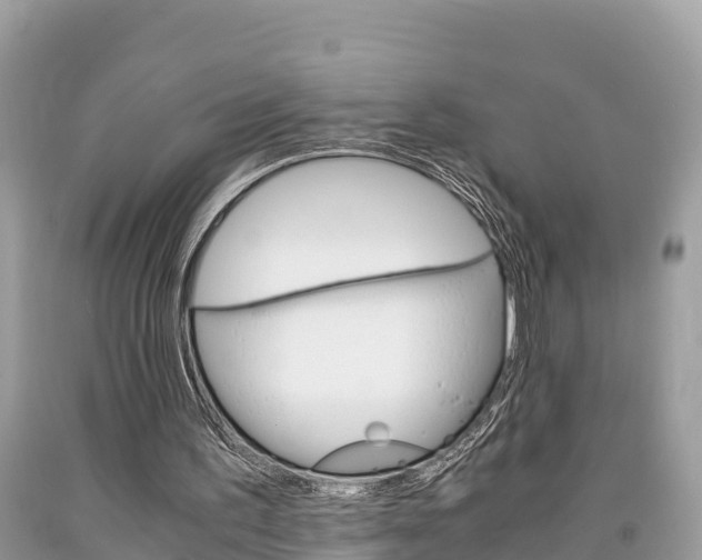 X0000094180195200710260939