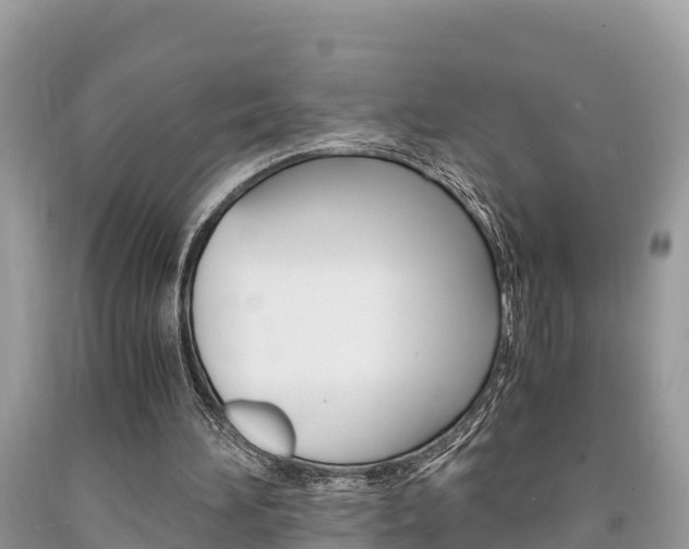 X0000094180196200710260939