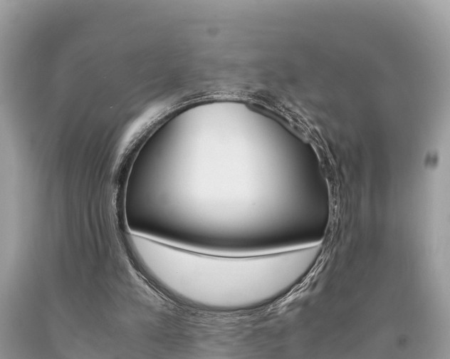 X0000094180197200710260939