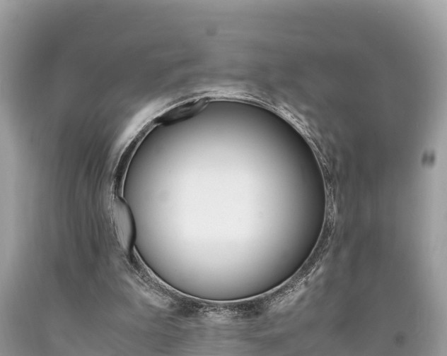X0000094180199200710260939