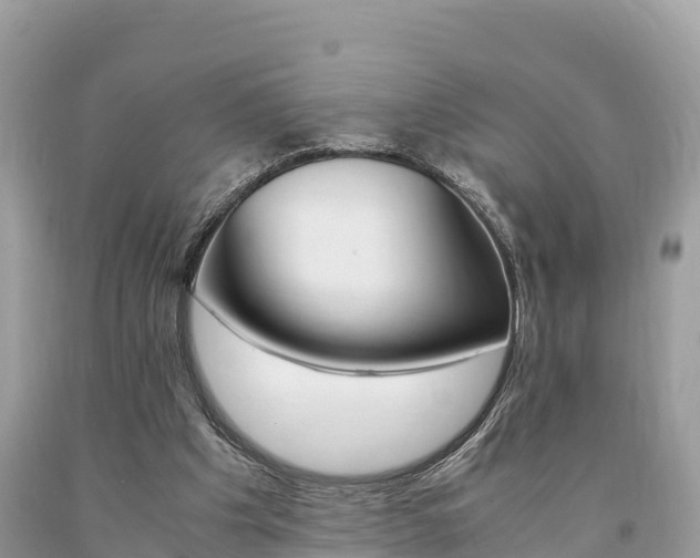 X0000094180201200710260939