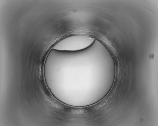 X0000094180202200710260939