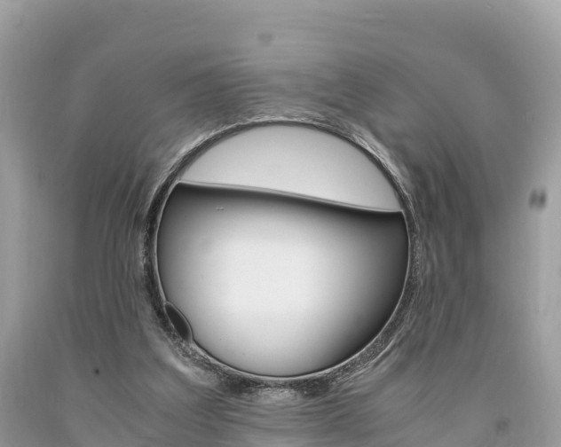 X0000094180203200710260939